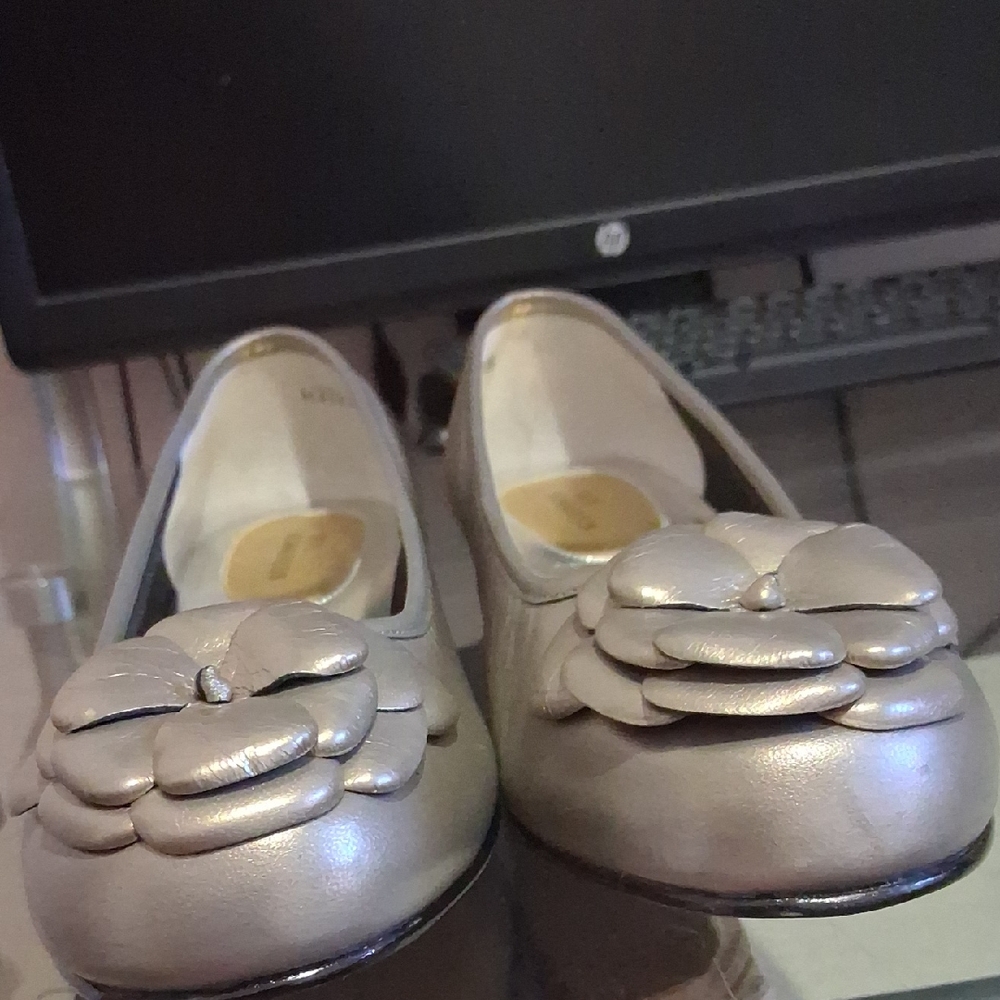 Ros Hommerson Metallic Silver Flats clean inside  and outside.